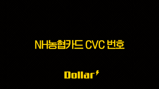 NH농협카드 CVC 번호, 어디서 확인하고 오류 시 해결 방법은? (CVV) 49