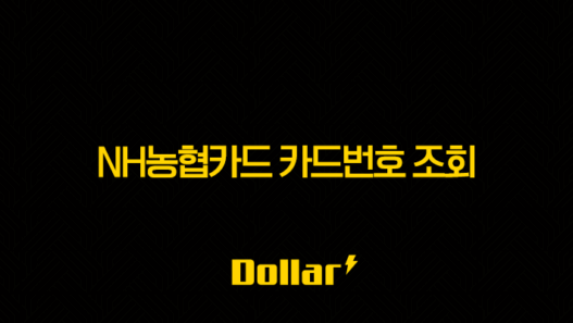 NH농협카드 카드번호 조회, 어플로 유효기간 확인하는 가장 빠른 방법 45
