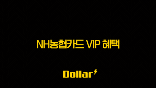 NH농협카드 VIP 혜택 완벽 가이드 (등급, 조건, 프리미엄 서비스 총정리) 33