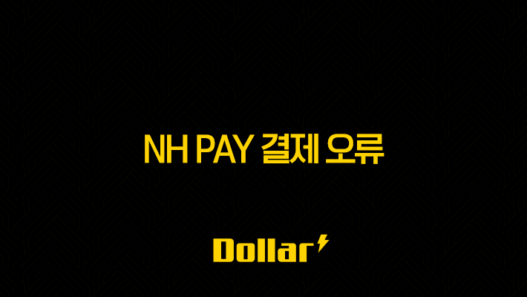 NH Pay 결제 오류 완벽 가이드 : 원인 분석부터 해결까지 25