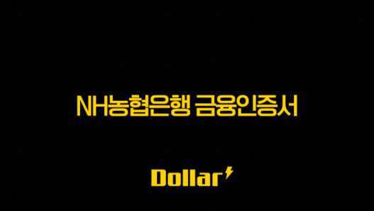 NH농협은행 금융인증서 발급부터 재발급까지 5분 완성 가이드 33