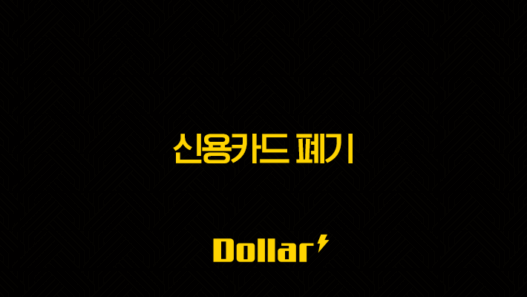 신용카드 폐기, 개인정보 완벽 보호하며 제대로 버리는 법 53