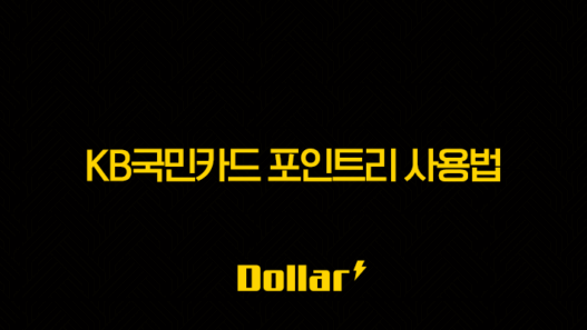 KB국민카드 포인트리 사용법 13가지 총정리 (현금화, 결제, 선물) 25