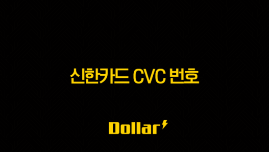신한카드 카드번호 조회, 실물 카드 없을 때 SOL페이 앱으로 1분 만에 확인하는 법 53