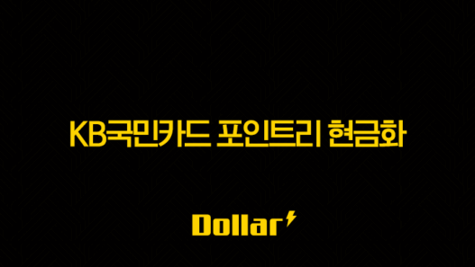 KB국민카드 포인트리 현금화 초간단 방법 3가지 총정리 (KB Pay 앱, 홈페이지, 고객센터) 45