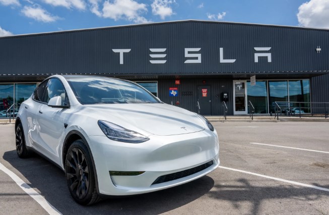 테슬라 주가, 엔비디아 쇼크에 동반 하락… 바닥은 어디? 30