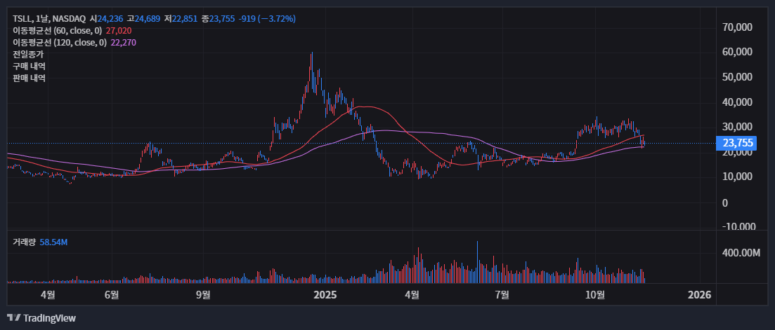 테슬라 주가, 엔비디아 쇼크에 동반 하락… 바닥은 어디? 46