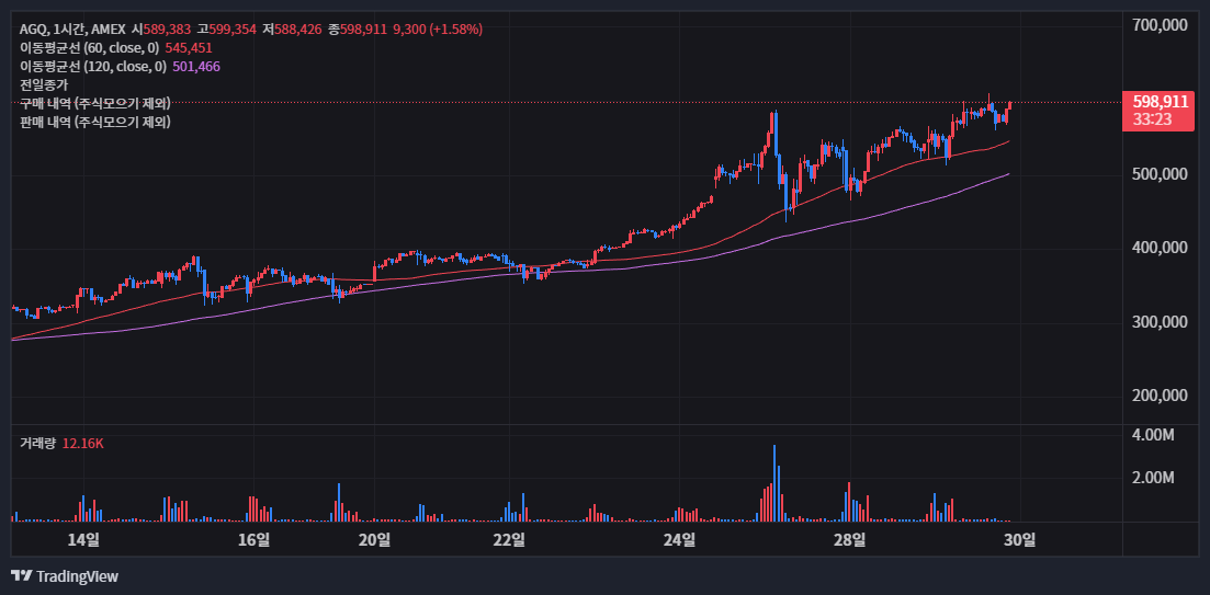 AGQ 주가 전망 2026년 은값 폭등 시나리오와 실전 매매 전략 공개 28 AGQ 투자 시 반드시 알아야 할 '레버리지의 독'