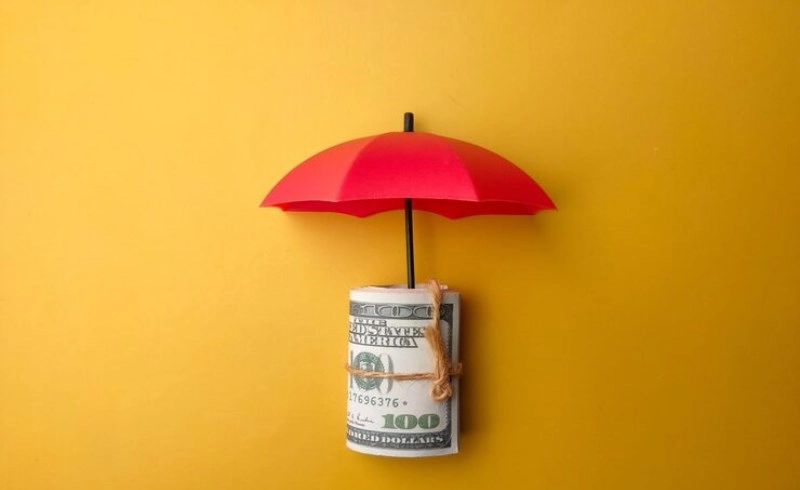 달러 보험이 필요한 사람은?