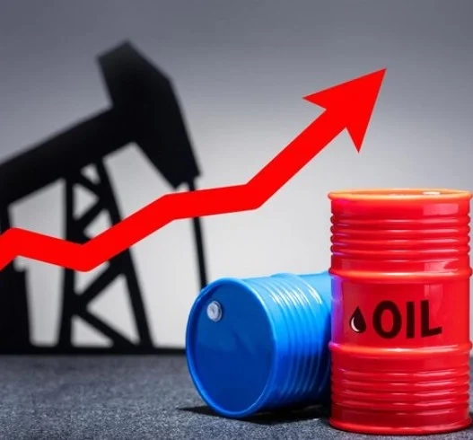 유가상승 수혜주 기름값 오를 때 남들 울고 나만 웃는 실전 투자법 67