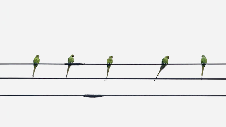 환율 변동을 보여주는 그래프