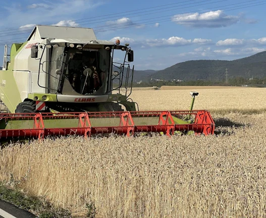 농산물 선물 투자 2026년 식량 위기 속 최고의 수익 전략 37