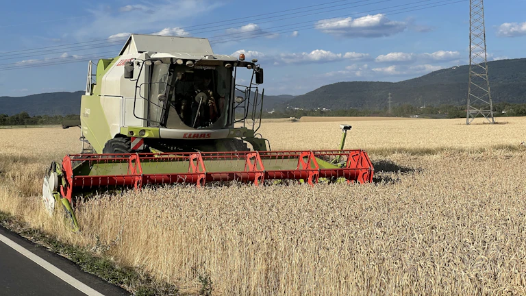 농산물 선물 투자 2026년 식량 위기 속 최고의 수익 전략 25 농산물 선물 거래를 분석하는 투자자들