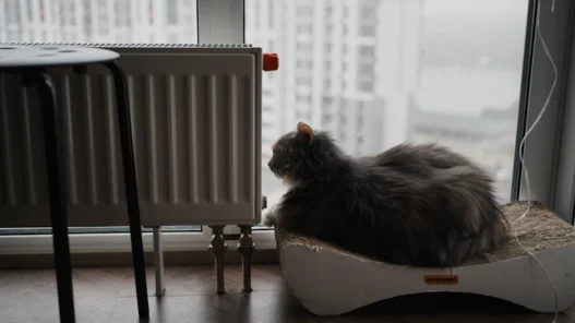 2026년 도시 가스비 인상, 지역 난방비 비교 완벽 분석: 관리비 아끼는 아파트 고르기 필승 전략 51