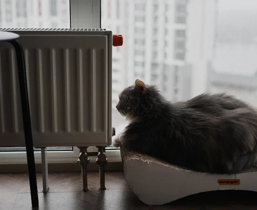 2026년 도시 가스비 인상, 지역 난방비 비교 완벽 분석: 관리비 아끼는 아파트 고르기 필승 전략 53