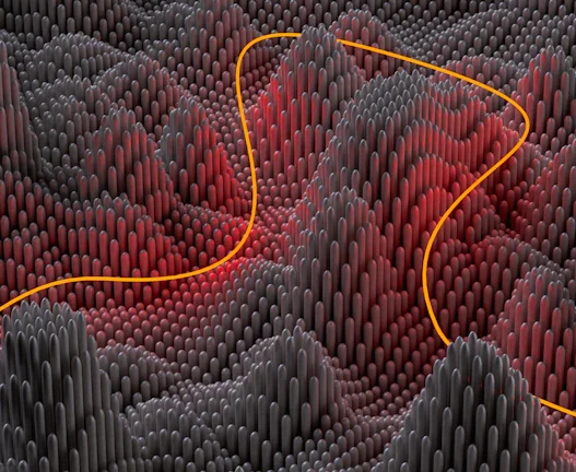 CBDC 투자 전략 2026년 돈 지키는 필수 가이드 39