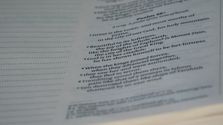 프리랜서 건강 보험료 조정 신청(해촉 증명서), 2026년 11월 건보료 폭탄 방어 완벽 가이드 26 서류를 확인하는 손