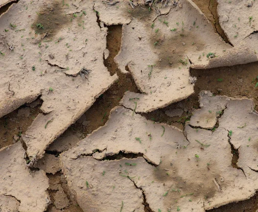 2026년 곡물가 폭등과 애그플레이션 심화 사료주, 비료주 단타 매매 전략 완벽 분석 60