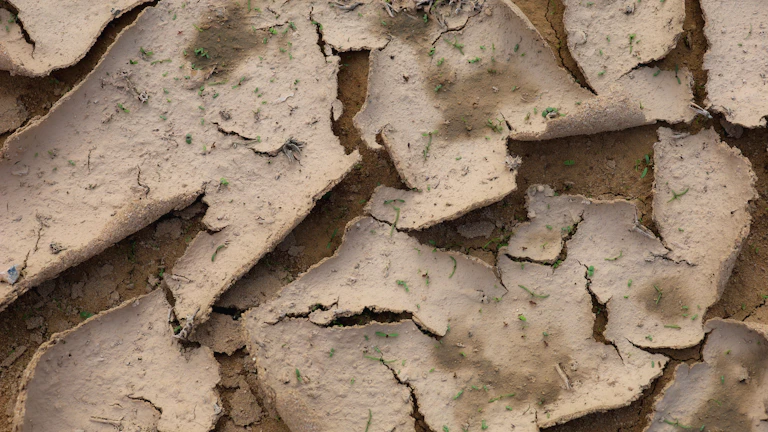 전 세계 농업에 영향을 미치는 극한 기상 현상