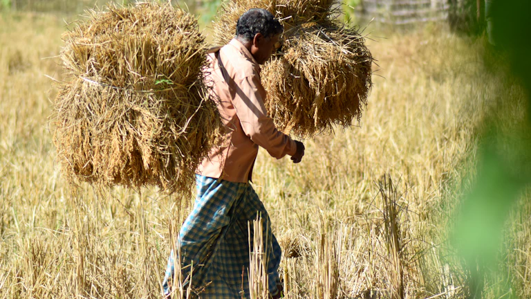 농부가 밭에서 작물을 확인하는 모습