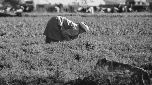 농산물 선물 거래 2026년 초보자 수익 극대화 전략 (2026년) 41