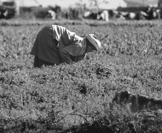 농산물 선물 거래 2026년 초보자 수익 극대화 전략 (2026년) 33