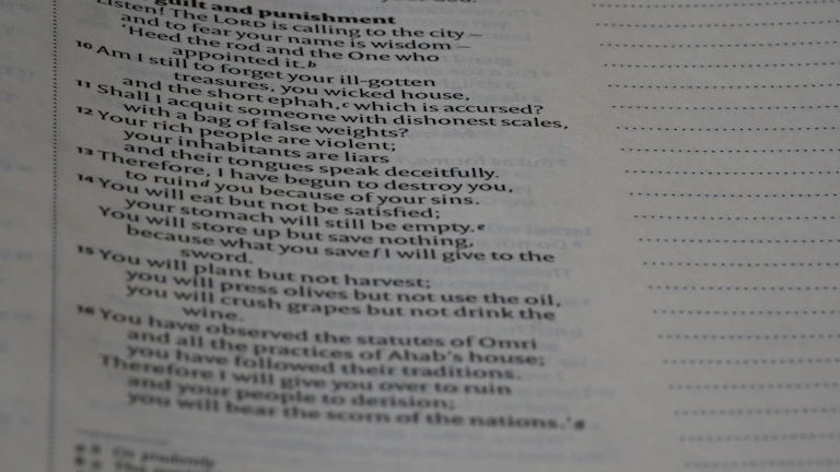 금융 서류와 주식 보고서