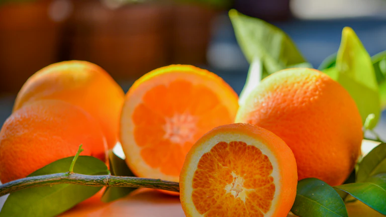 신선한 과일과 채소가 진열된 모습