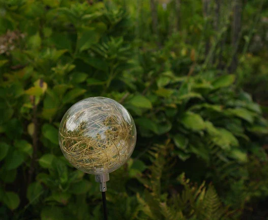 2026년 탄소배출권 투자로 환경 지키고 돈 버는 법 37