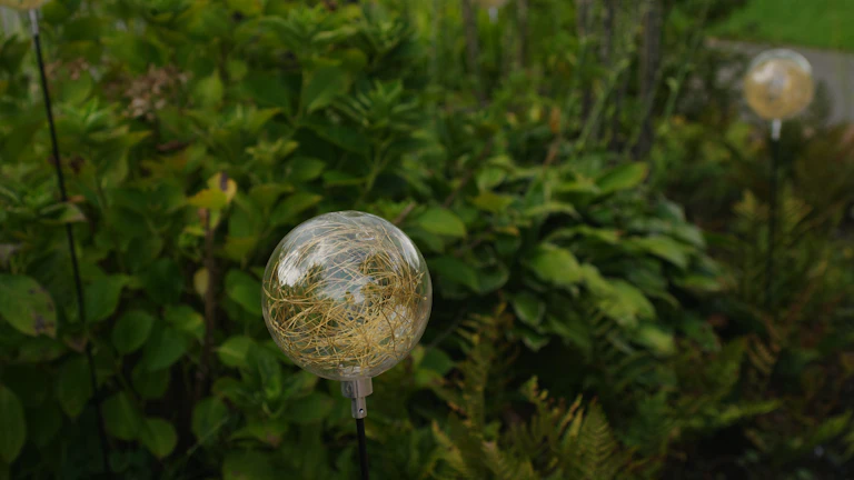 2026년 탄소배출권 투자로 환경 지키고 돈 버는 법 25 지구를 감싸고 있는 푸른 잎사귀