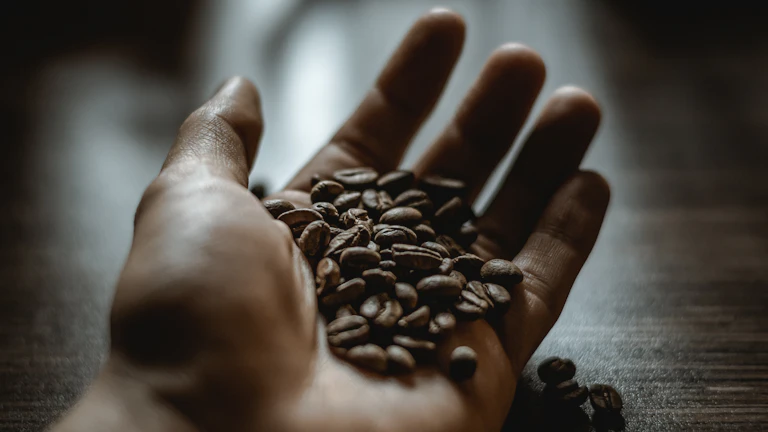 손바닥에 올려진 다양한 곡물들