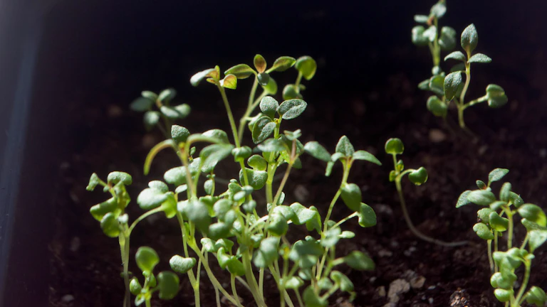 시간이 지날수록 불어나는 복리 수익의 이미지
