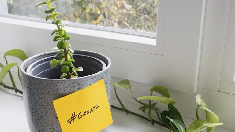 달러 기호가 있는 성장 차트