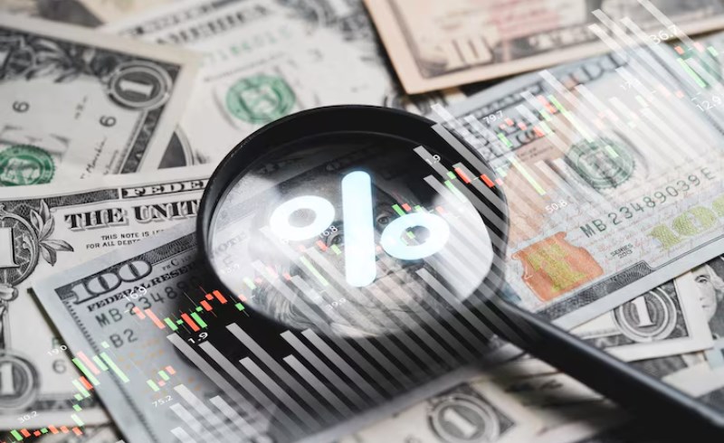 투자 포트폴리오