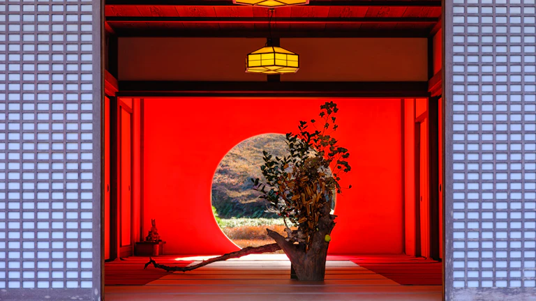 2026년 엔저 끝물, 환차익 극대화하는 안전한 환전 팁 27 엔화와 원화 동전이 함께 놓여 있는 모습