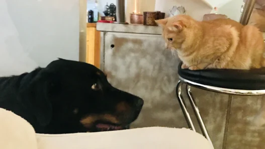 착한 임대인 세액 공제, 신청 서류 및 임대료 인하 합의서 양식 작성법 총정리 3