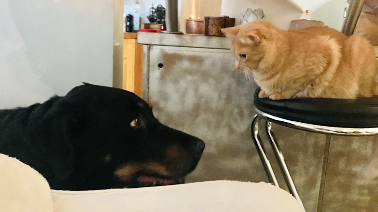 임대인과 임차인이 임대료 인하 합의서를 검토하며 대화하는 모습