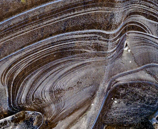 리튬 광산 기업 직접 투자: 2026년 앨버말(ALB) 주가 바닥 확인? 61