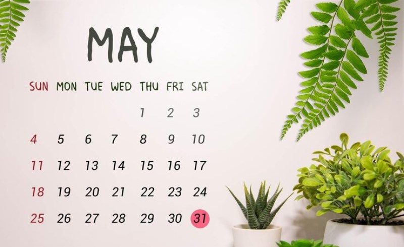 달력에 5월 31일이 표시된 모습