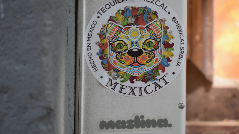 멕시코 페소와 미국 달러 지폐가 나란히 놓여 있는 모습