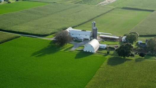 농막 규제 강화 흐름 속에서 실패 없는 주말 농장 토지 투자 성공 전략 17
