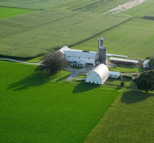 농막 규제 강화 흐름 속에서 실패 없는 주말 농장 토지 투자 성공 전략 41