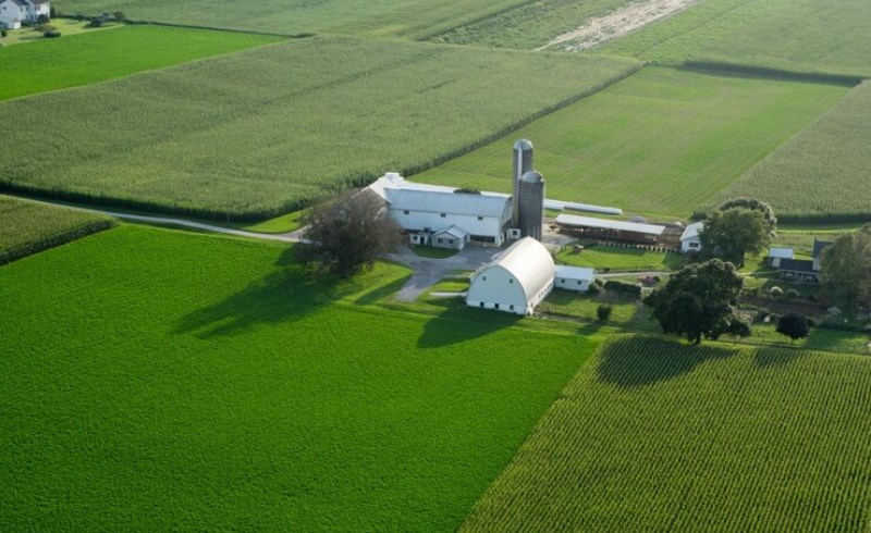 농막 규제 강화 흐름 속에서 실패 없는 주말 농장 토지 투자 성공 전략 27