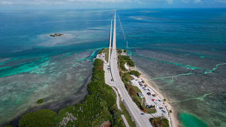 shopping-tax - 해외 직구 세금 신고를 위해 서류를 정리하는 모습