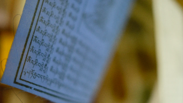 재무 데이터를 분석하는 사람들