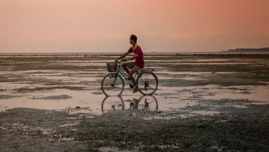 월 50만원씩 받는 미국 배당 ETF 월배당 포트폴리오 구축법 (2026년) 35