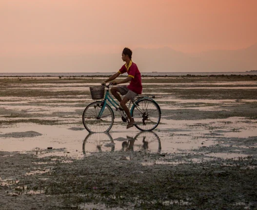 월 50만원씩 받는 미국 배당 ETF 월배당 포트폴리오 구축법 (2026년) 47