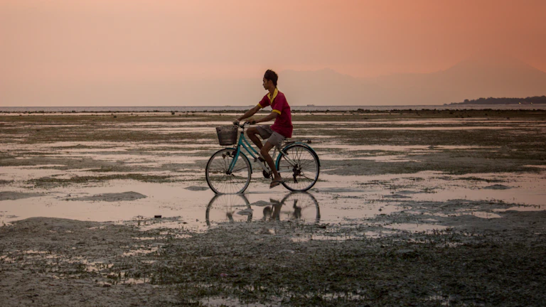 주식 시장 차트를 분석하는 사람