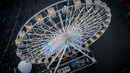 주택 임대차 분쟁 조정 위원회, 2026년 소송 없이 집주인과 성공적으로 합의한 썰과 꼭 알아야 할 꿀팁 3