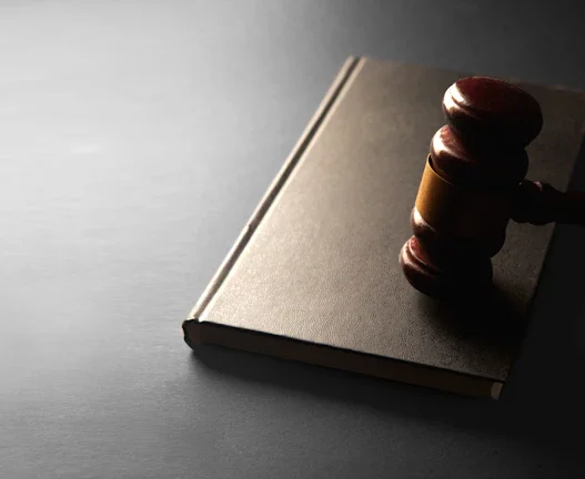 부동산 경매 명도 소송 기간 단축, 2026년 점유 이전 금지 가처분의 위력 43